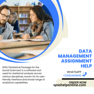 Data management Assignment Help