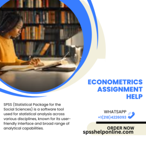 Econometrics Assignment Help