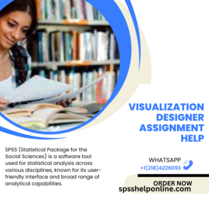 Visualization designer Assignment Help